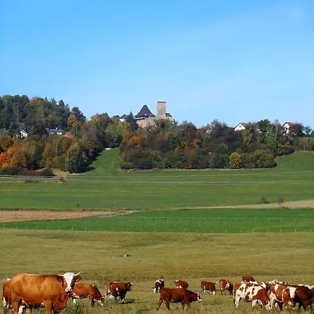 U Ceske Koruny 3*