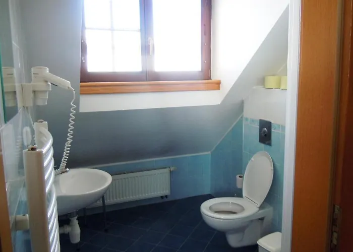 Mini-hôtel U Ceske Koruny