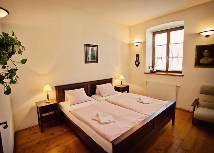 Mini-hôtel U Ceske Koruny