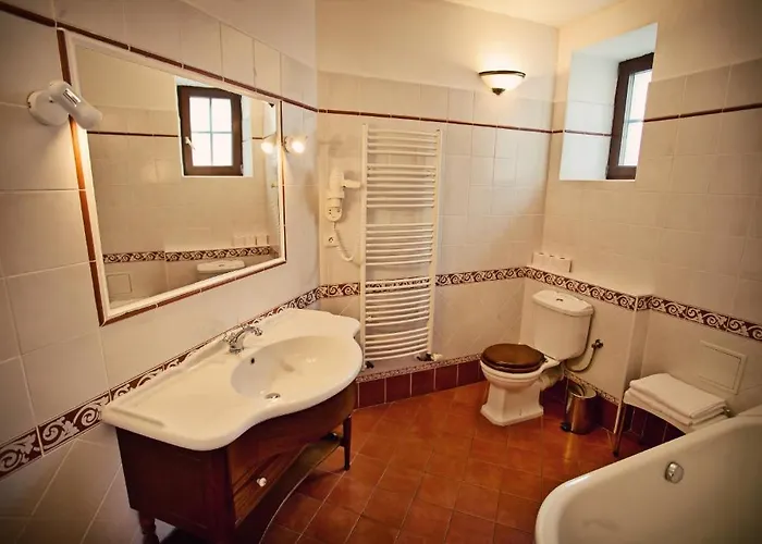 Mini-hôtel U Ceske Koruny 3*