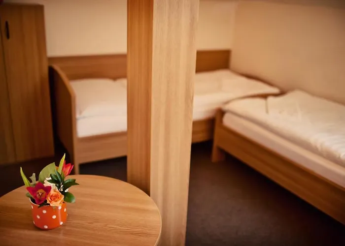 U Ceske Koruny Mini-hôtel