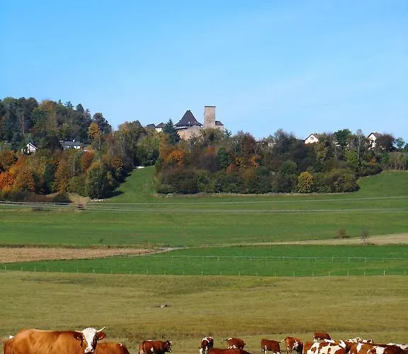 U Ceske Koruny 3*