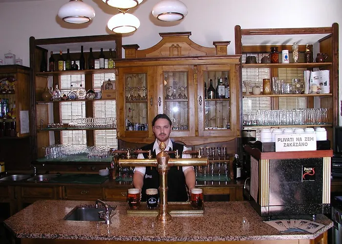 U Ceske Koruny Mini-hôtel 3*